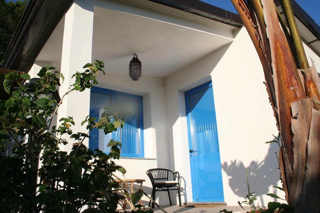 Bed & Breakfast Avocado Beyond 2*
